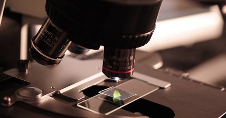 Przerażające odkrycie w laboratorium. Ta choroba zabiła 5 mln ludzi