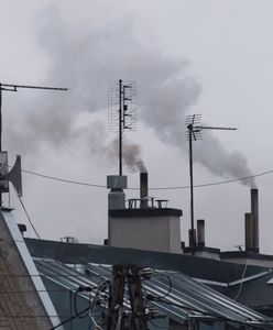 NIK o likwidacji "kopciuchów". Istotne niedociągnięcia w 5 regionach