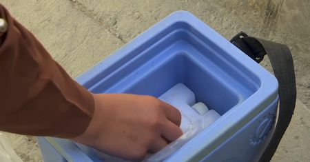 Polio w Afganistanie. Mieszkańcy obawiają się groźnego wirusa