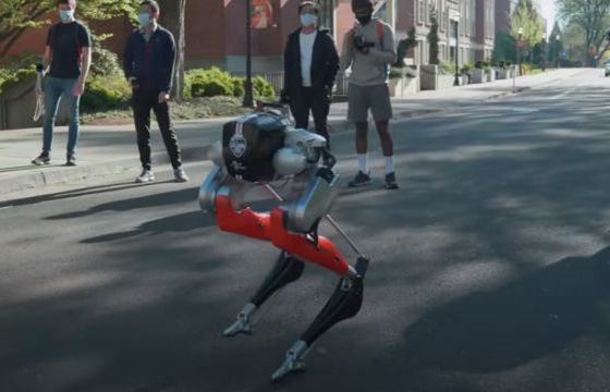 Naukowcy prezentują robota - biegacza Cassie. Pokonuje 5 kilometrów w godzinę na jednym akumulatorze