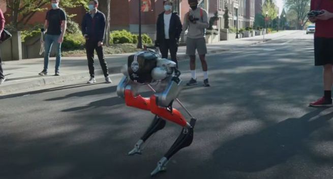 Naukowcy prezentują robota - biegacza Cassie. Pokonuje 5 kilometrów w godzinę na jednym akumulatorze