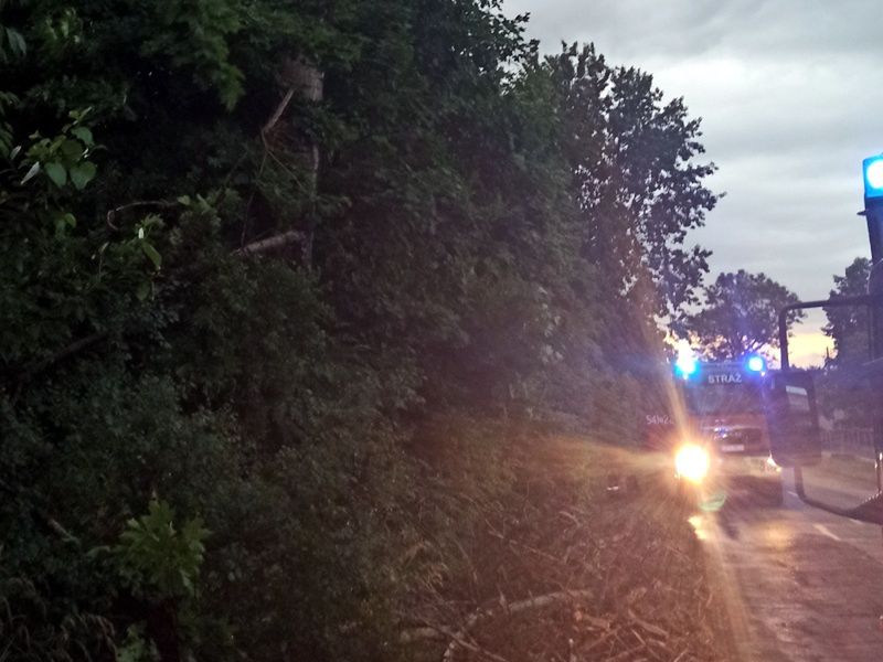 Śląskie. Uszkodzone drzewa, nieprzejezdne drogi to jedne ze skutków nawałnic, które przeszły nad woj. śląskim.