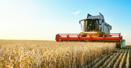 Susza zabija rolnictwo. Globalne ocieplenie uderza w Polskę