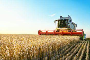 Susza zabija rolnictwo. Globalne ocieplenie uderza w Polskę