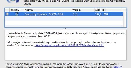 Security Update 2009-004