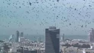 Krążyły nad Tel Awiwem. Pokazali zdjęcia