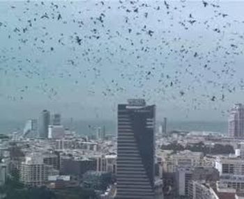 Krążyły nad Tel Awiwem. Pokazali zdjęcia