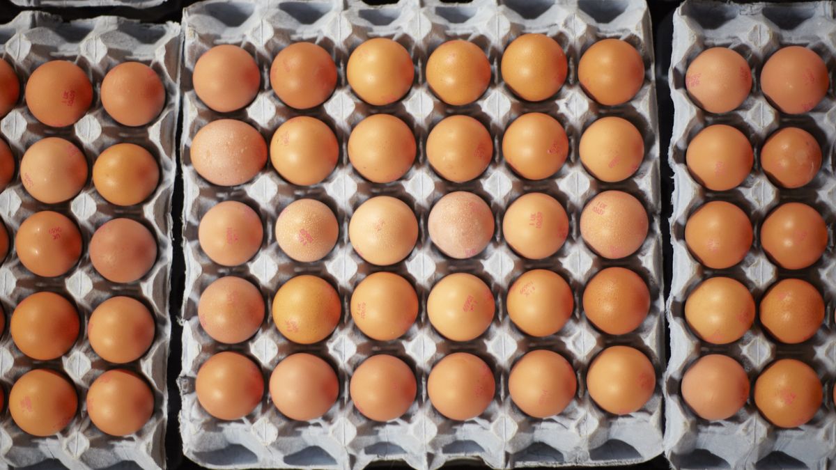 Jakie jajka wybierać podczas zakupów?