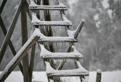 Potężny wyż na wschodzie Europy. Siarczysty mróz i śnieżyce