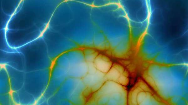 Mózg z probówki pamięta przez 12 sekund! 1