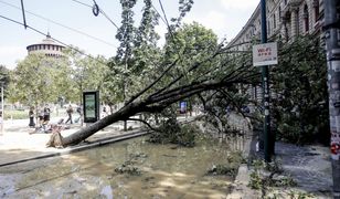 Pogoda w Europie. Włochy spustoszone. "Wprowadzić stan wyjątkowy"