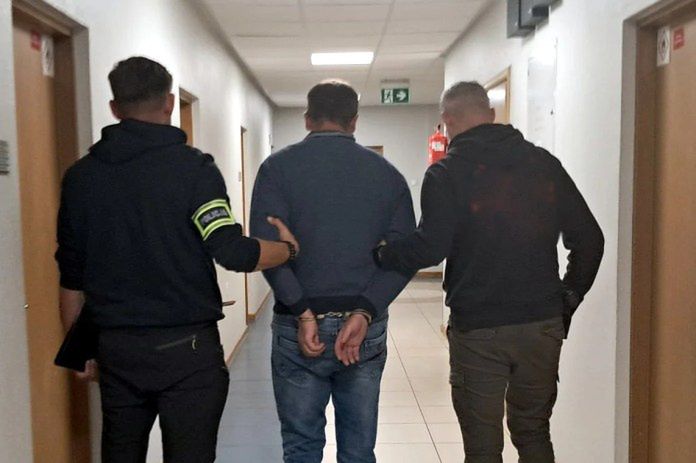 Rolnicy oszukani na ponad 8 mln zł. Fałszywe umowy dzierżawy zwierząt