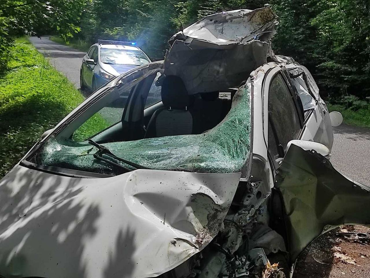 Auto po zderzeniu z łosiem. Dwie osoby w szpitalu. Zwierzę uciekło