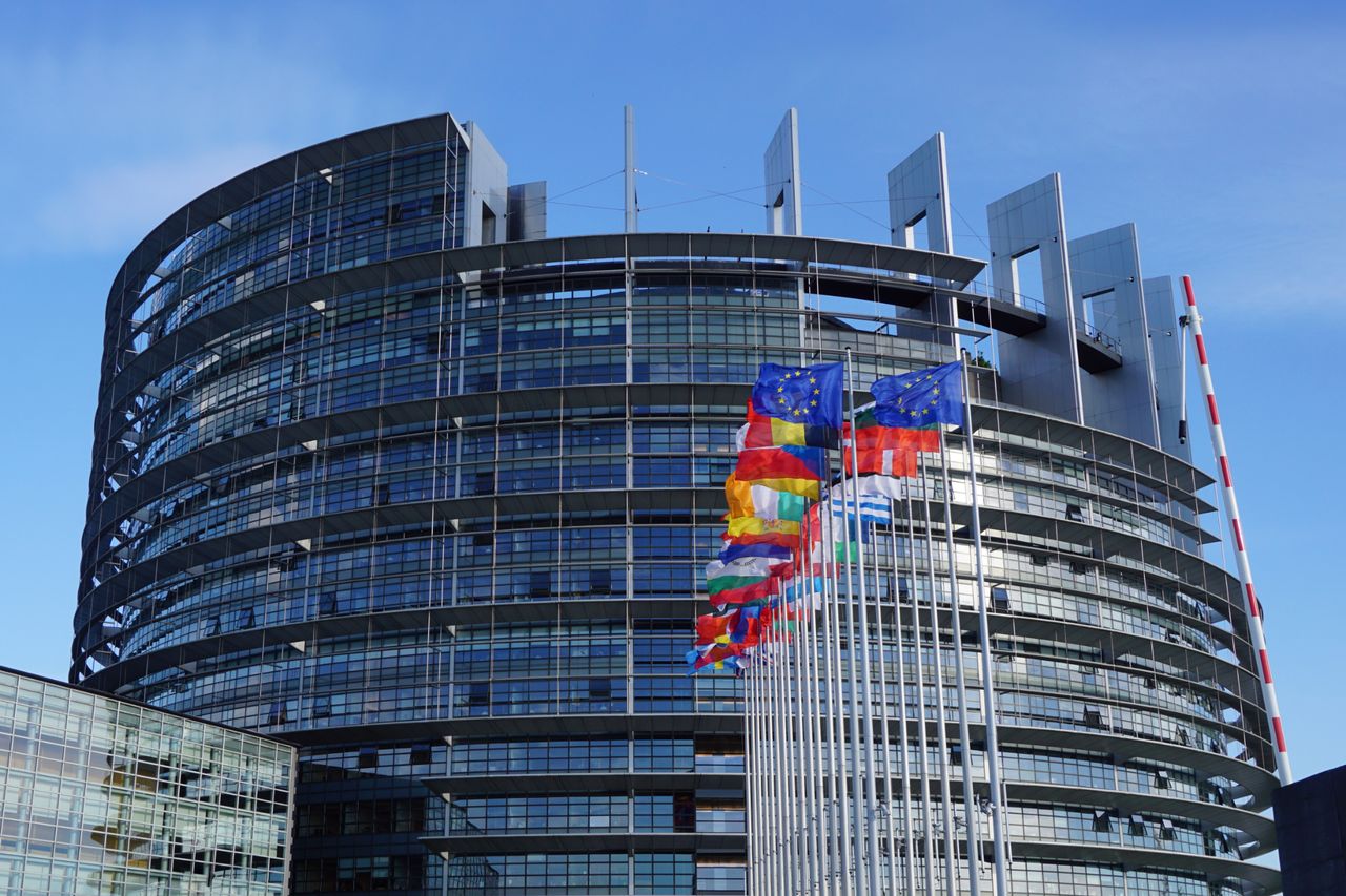 Wybory do Parlamentu Europejskiego: Latarnik pomoże zagłosować