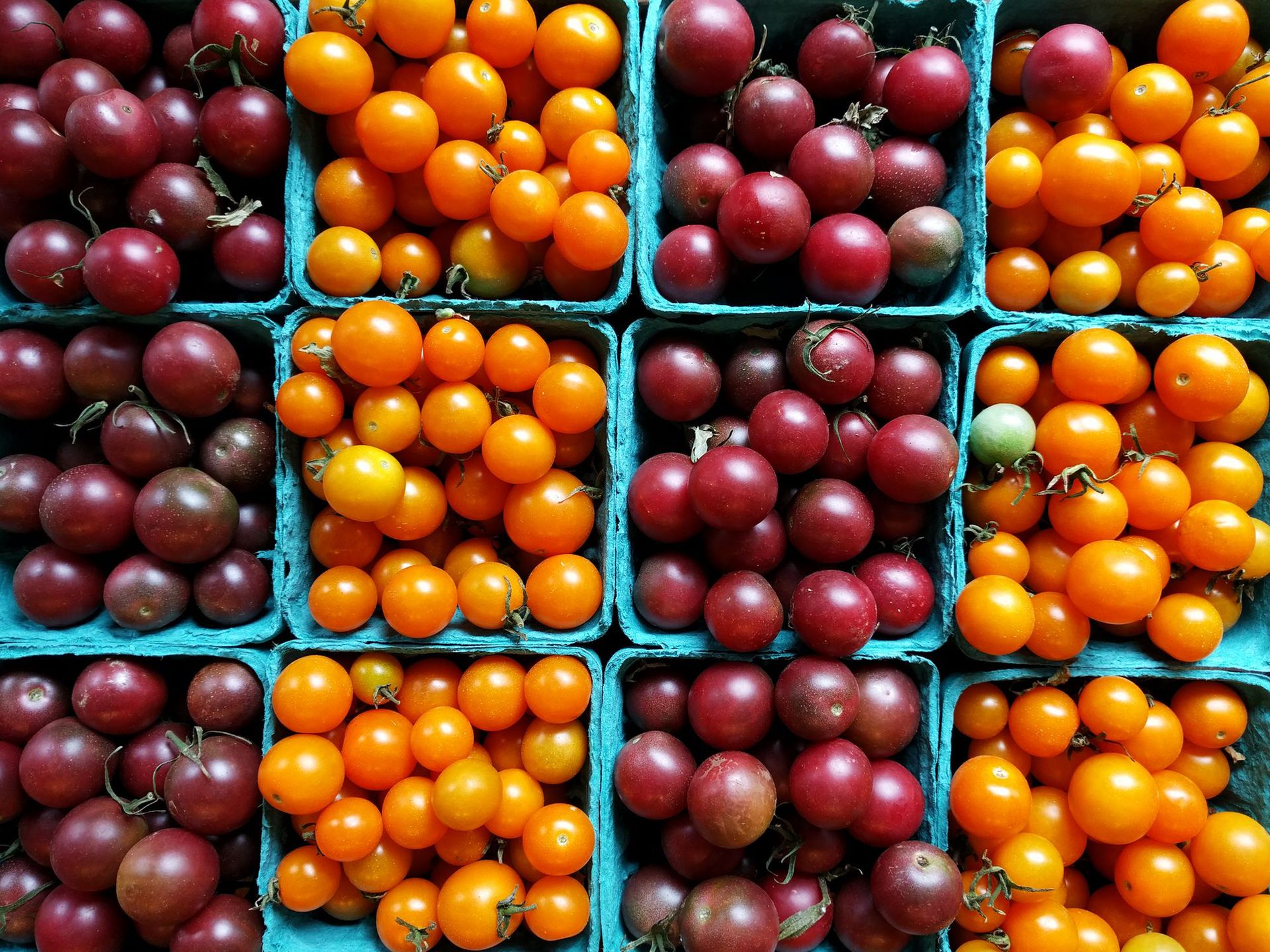 DxOMark: Nexus 6P jest jednym z najlepszych fotograficznych smartfonów na rynku! 11