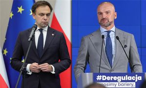 "Koniec KPO"? Domański odpowiada Brzosce