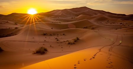 Sahara zmieni się nie do poznania. Eksperci prognozują wzrost opadów