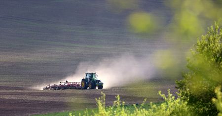 Rolnik emeryt. Oto jaką emeryturę dostanie po 25 latach