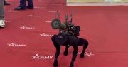 Rosjanie zachwycali się uzbrojonym psem-robotem. Przedwcześnie