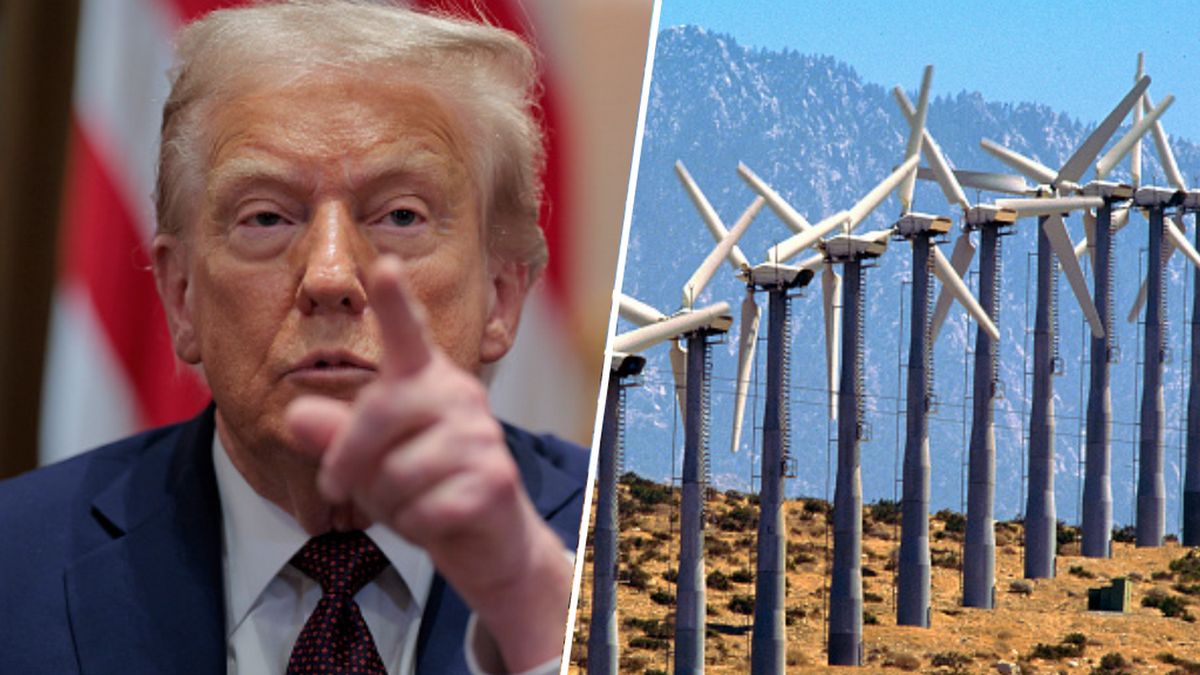 Donald Trump/ Farma wiatrowa w Kaliforni