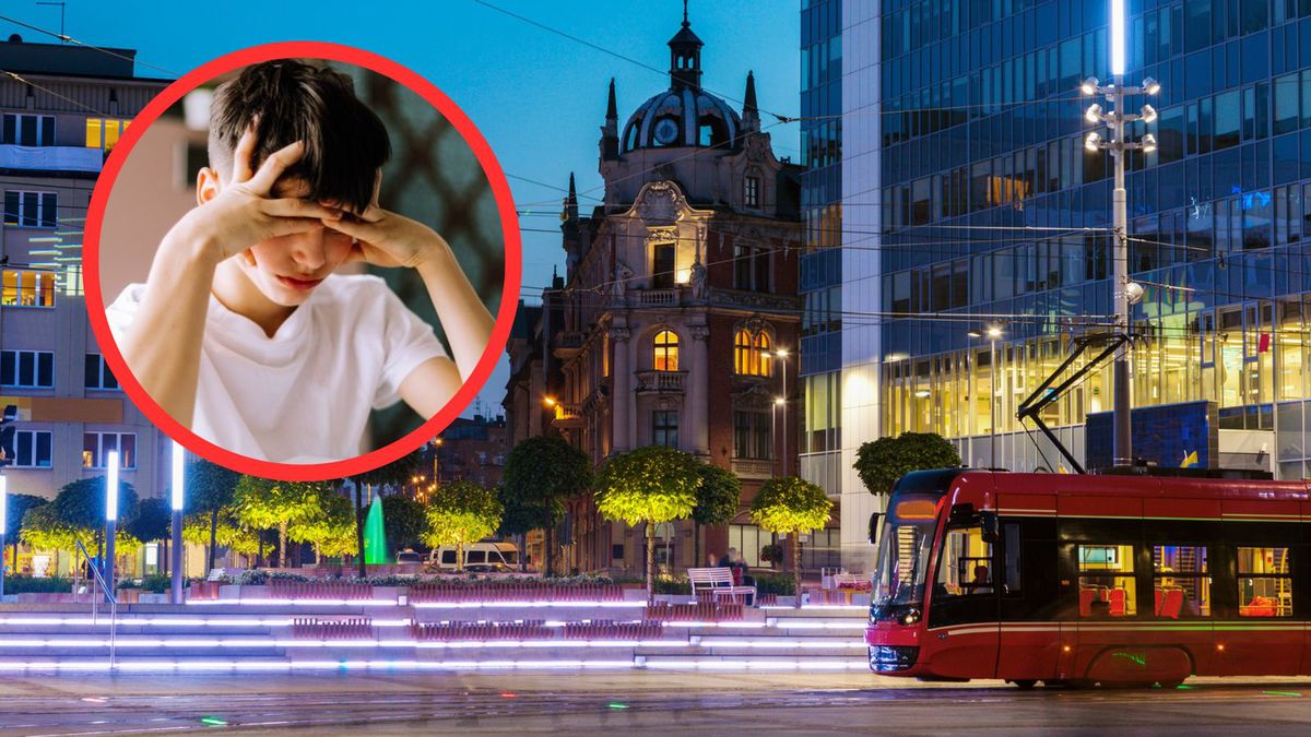 Mieszkania dla studentów w Katowicach. Tak wyglądają oferty