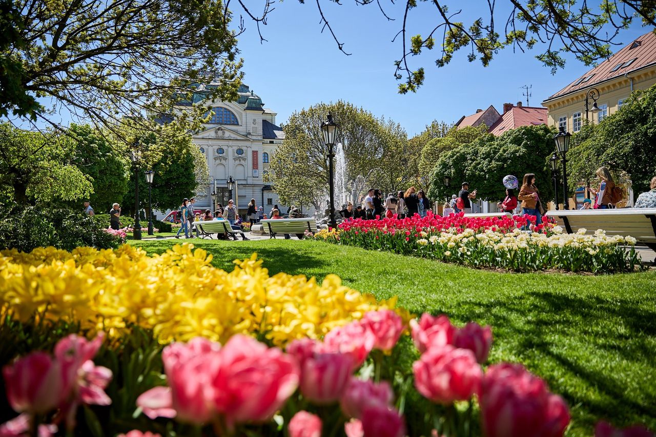 City break na Słowacji – polscy influencerzy wybrali Koszyce