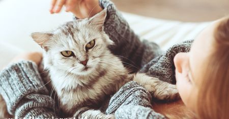 Felinoterapia – kocia moc, która leczy
