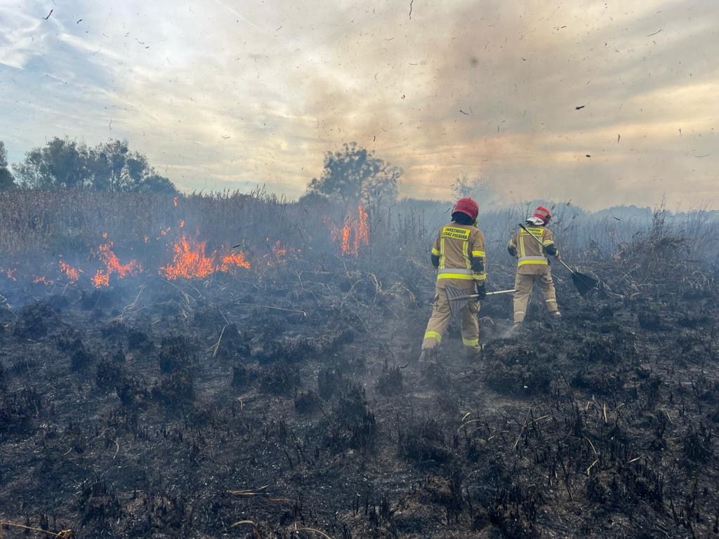 Pożar w Biebrzańskim Parku Narodowym