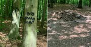 Leśnicy nie wytrzymali. "Głupota połączona z aktem wandalizmu"
