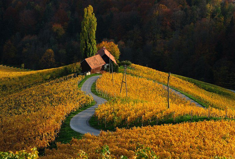 Magdalena Wasiczek z nagrodą Grand Prix konkursu International Garden Photographer of the Year 2015 5