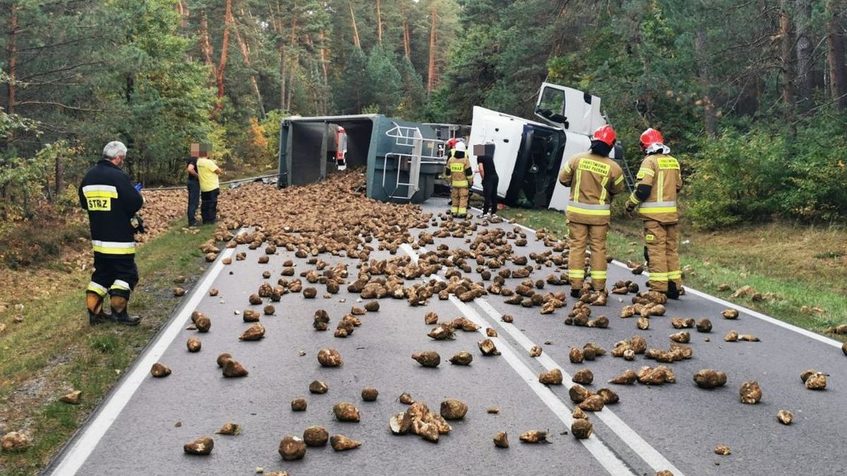 Kierowca przewoził buraki cukrowe. Na łuku drogi stracił panowanie nad pojazdem  