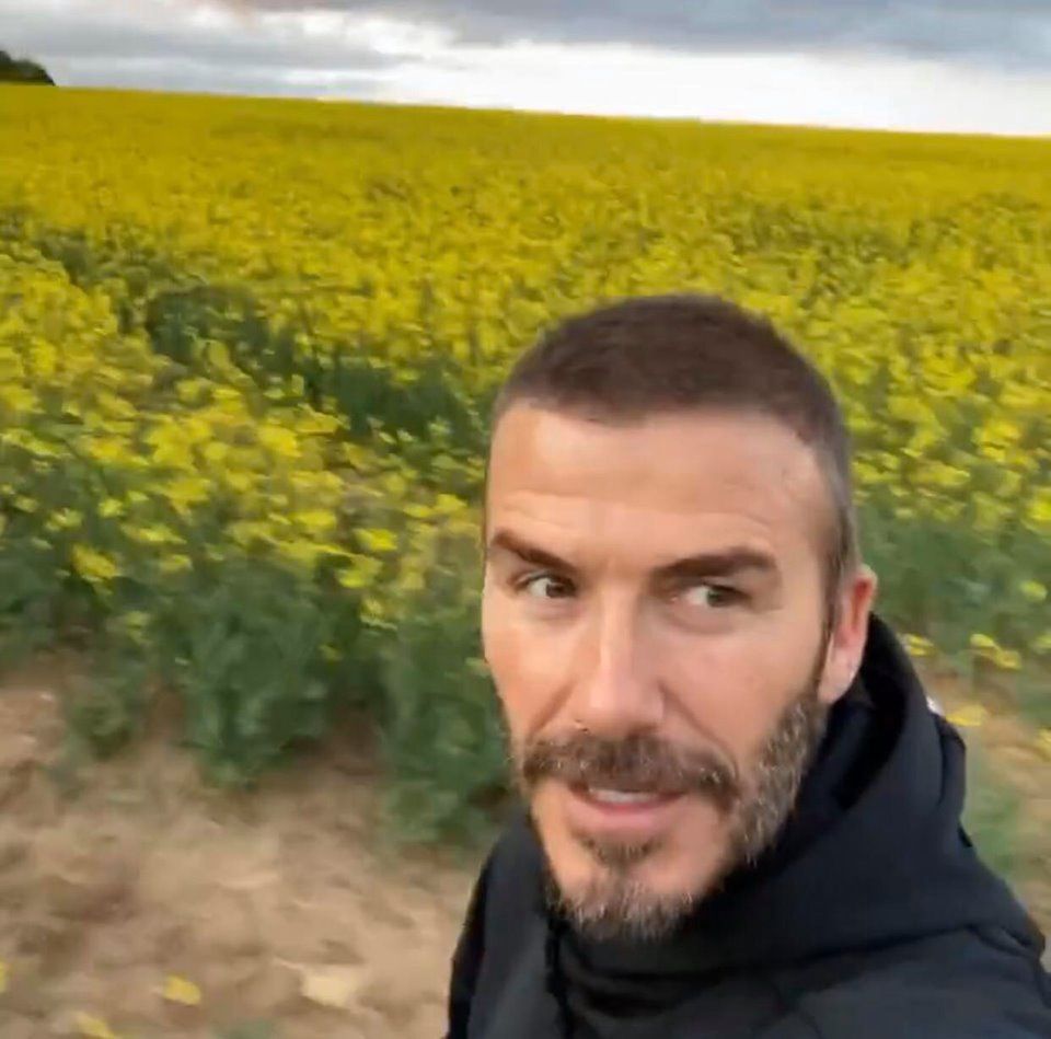 David Beckham