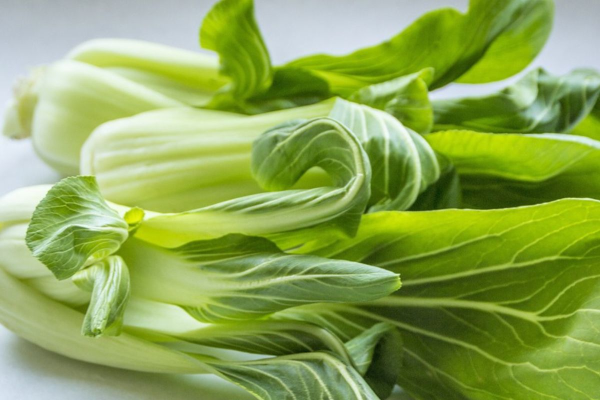 Pak choi 