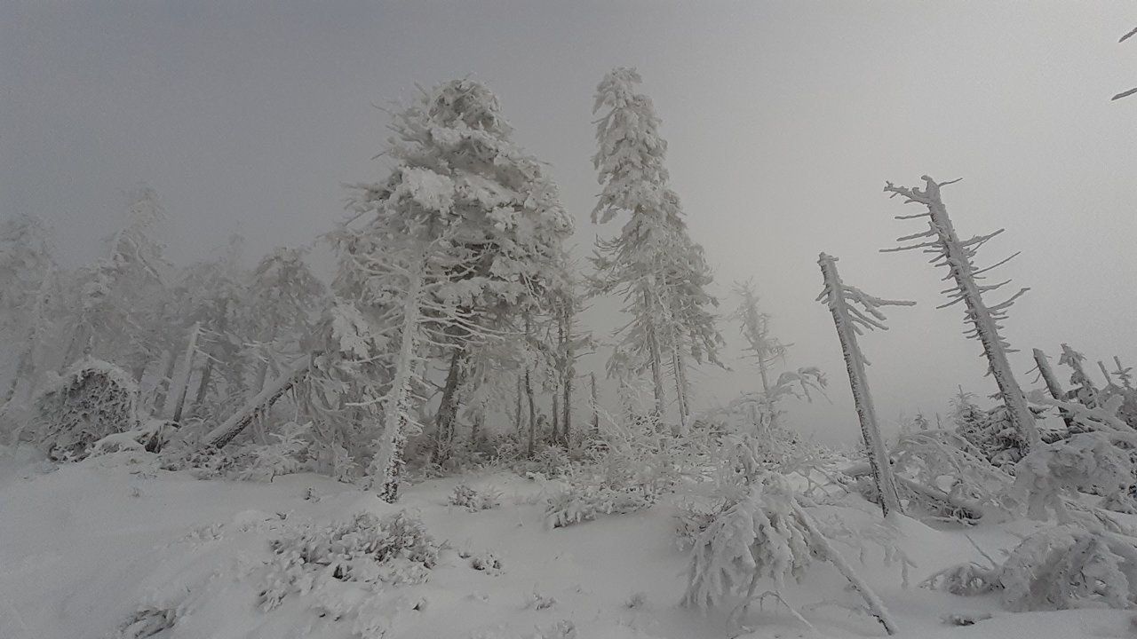 Trudne warunki w Beskidach