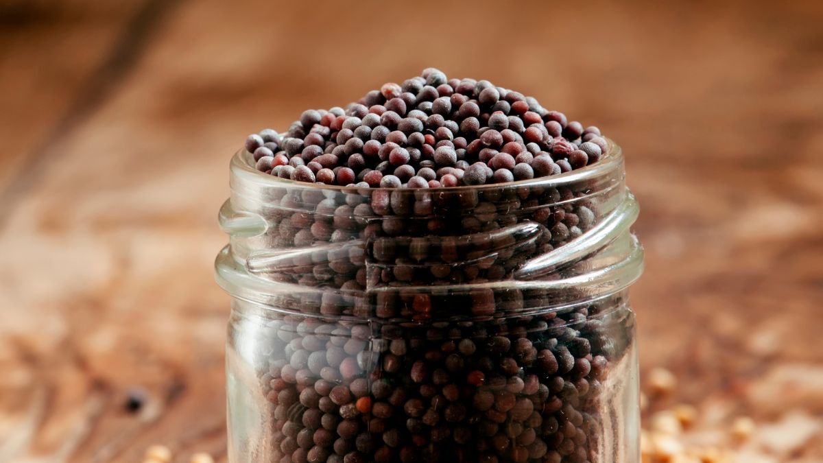 Czarna gorczyca jest rzadko używana w Polsce