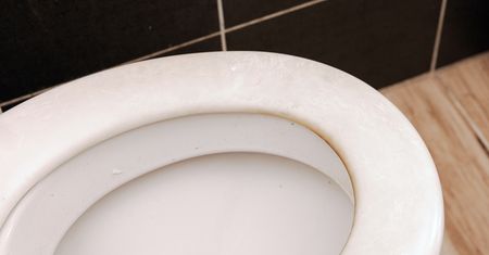 Posyp tym cytrynę i wetrzyj w deskę sedesową. Efekt robi wrażenie
