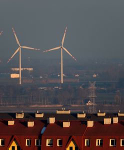 "Skończy się jak z robakami". Pokazali nowy plan klimatyczny