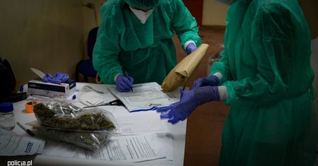 Wielka akcja gdańskich policjantów. Przejęli prawie 100 kg narkotyków wartych 6 mln zł