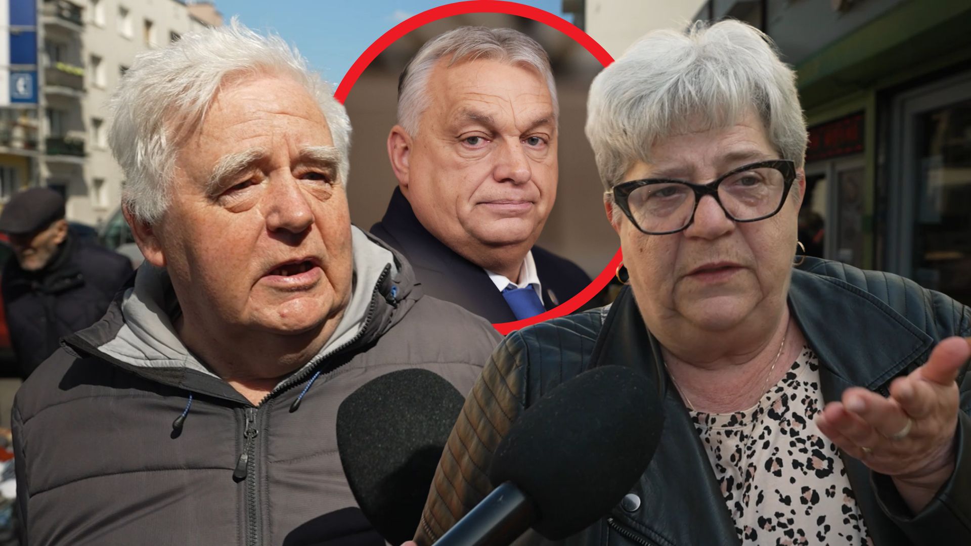 Porażka Orbana. Zapytaliśmy Polaków o wybory na Węgrzech