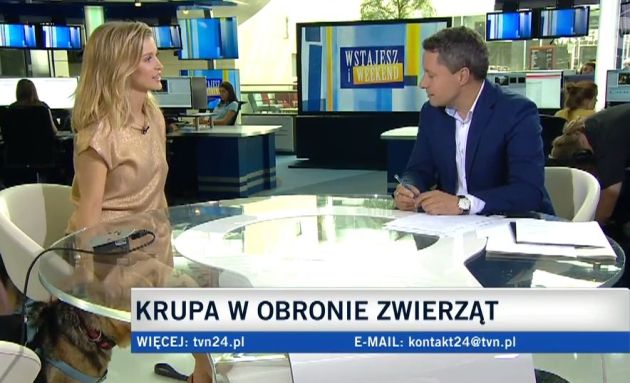 Obraz