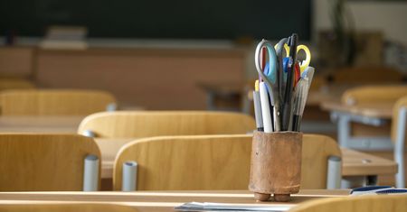 Pluskwy w szkole w Warszawie. Trzeba odwołać zajęcia