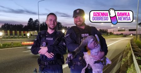 Auta go mijały. Bohaterska akcja policjantów uratowała życie