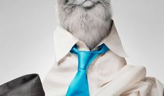 Tomasz Kot został kotem w animacji "Jak zostać kotem"