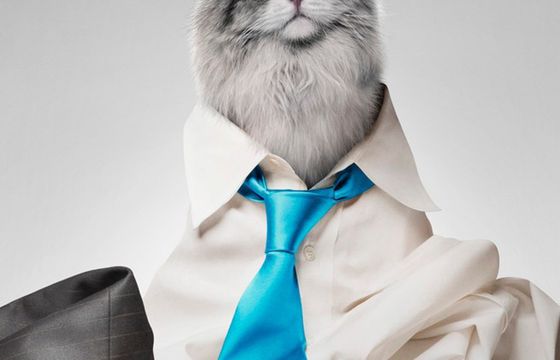 Tomasz Kot został kotem w animacji "Jak zostać kotem"