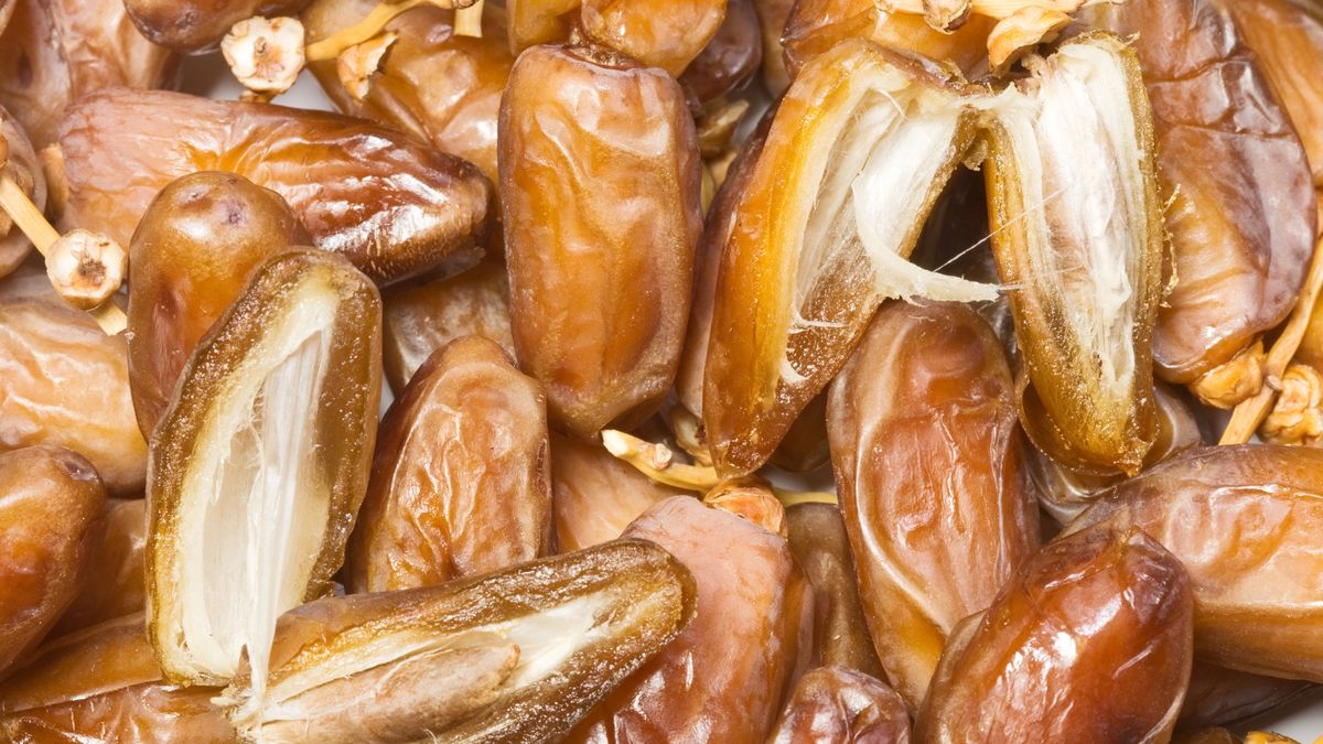 Dried Dates
Dried dates background with slice and seed
firina
Backgrounds, Brown, Close-up, Color Image, Date, Dried Plant, Food, Freshness, Fruit, Gourmet, Healthy Eating, Heap, High Angle View, Horizontal, Ingredient, Nature, Nobody, Organic, Plant, Portion, Raw, Ripe, Seed, Stem, Studio Shot, Traditional Culture, Tropical Fruit, Tunisian Culture