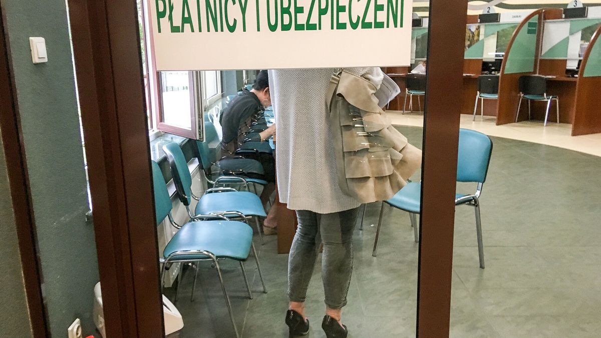 Polski Ład odbierze ubezpieczenie zdrowotne samozatrudnionym? Jest takie ryzyko