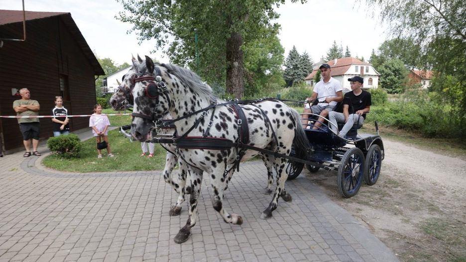 Tak bawiono się na Nadnidziańskiej Paradzie Karet i Zaprzęgów Konnych rok temu. Trzecia edycja imprezy, zaplanowana na 20 lipca, zapowiada się równie ciekawie.
