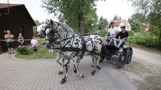 III Nadnidziańska Parada Karet i Zaprzęgów Konnych w Krzyżanowicach