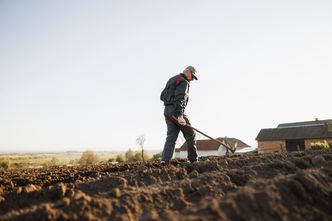 Ta wojna będzie miała ogromny wpływ na ceny żywności. "Dość toksyczna mieszanka"