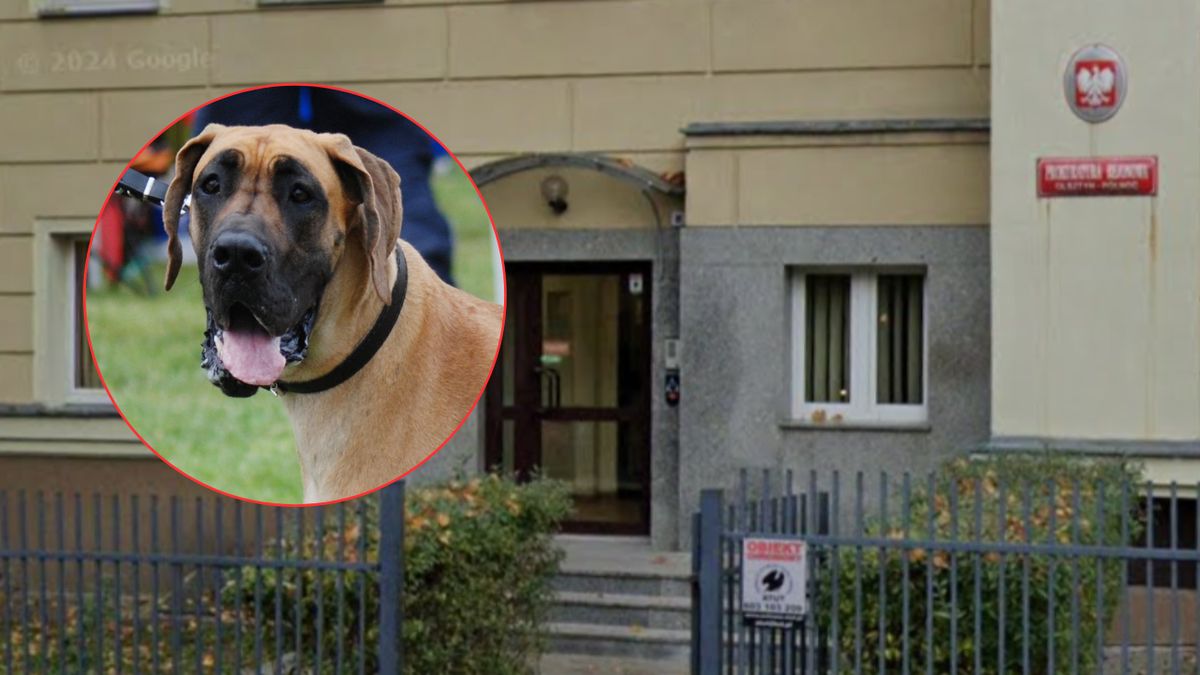 Zdaniem prokuratury kobieta nie zadbała o bezpieczeństwo dziecka